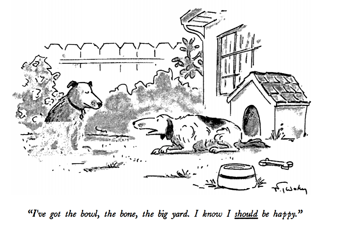 Unde se-ascunde fericirea ta?